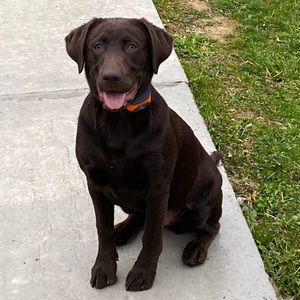 Meet your Posher, Tiffany